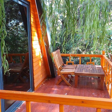 Trinitys Forest Bungalows Kemer Exteriér fotografie