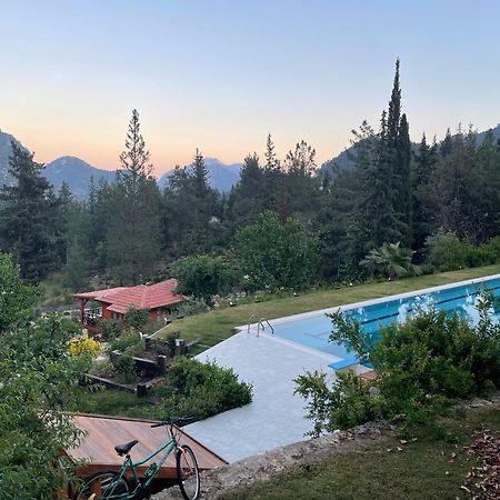 Trinitys Forest Bungalows Kemer Exteriér fotografie