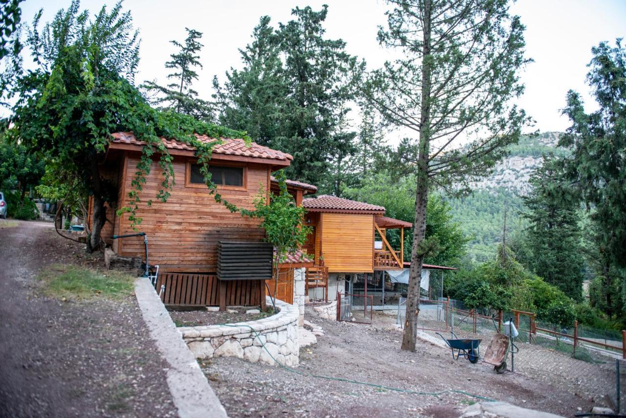 Trinitys Forest Bungalows Kemer Exteriér fotografie