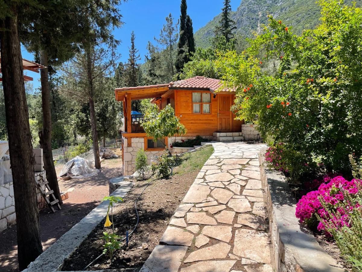 Trinitys Forest Bungalows Kemer Exteriér fotografie