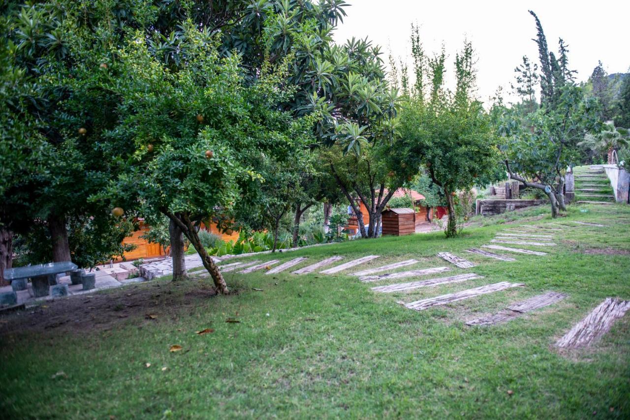 Trinitys Forest Bungalows Kemer Exteriér fotografie