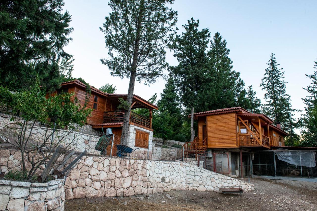 Trinitys Forest Bungalows Kemer Exteriér fotografie