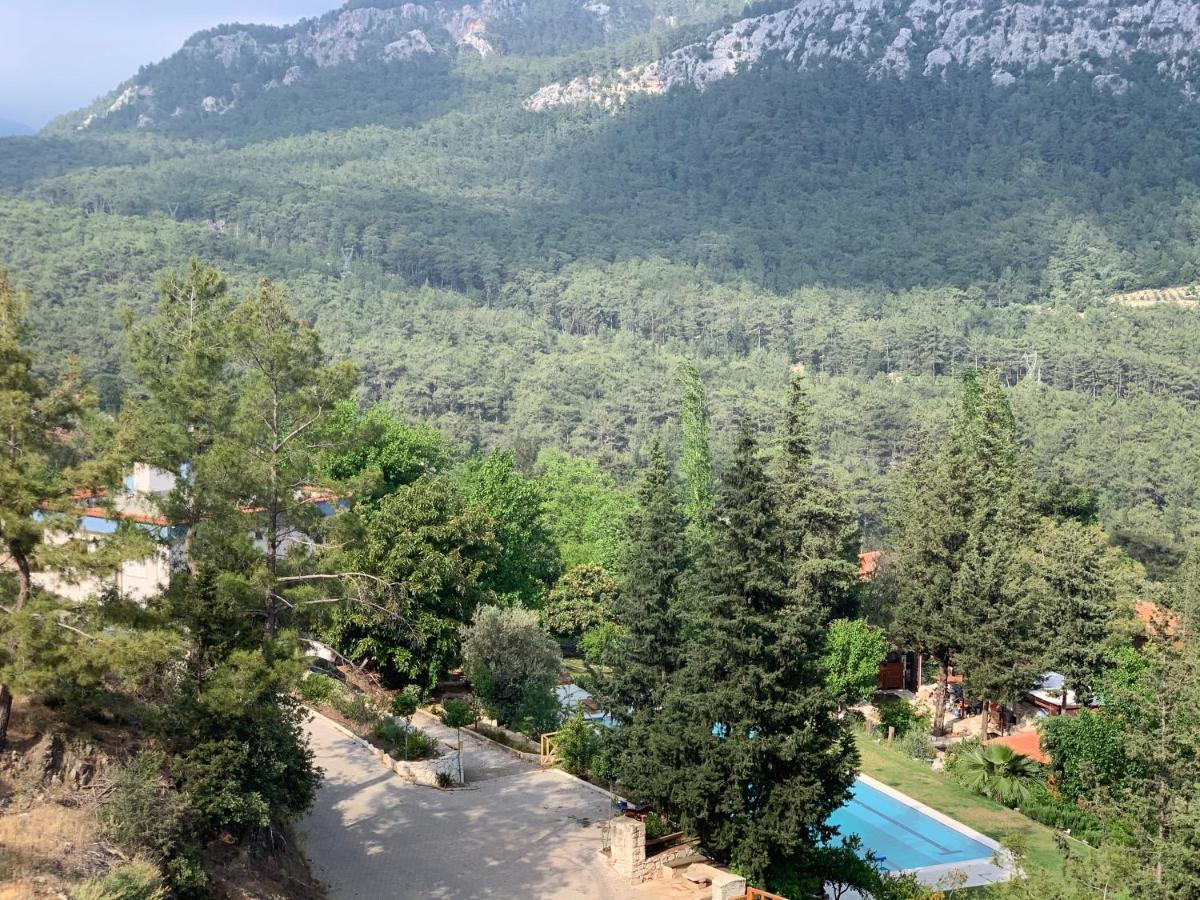 Trinitys Forest Bungalows Kemer Exteriér fotografie