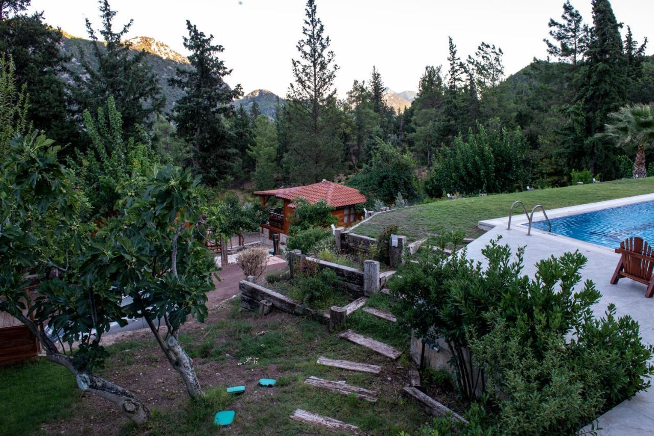 Trinitys Forest Bungalows Kemer Exteriér fotografie