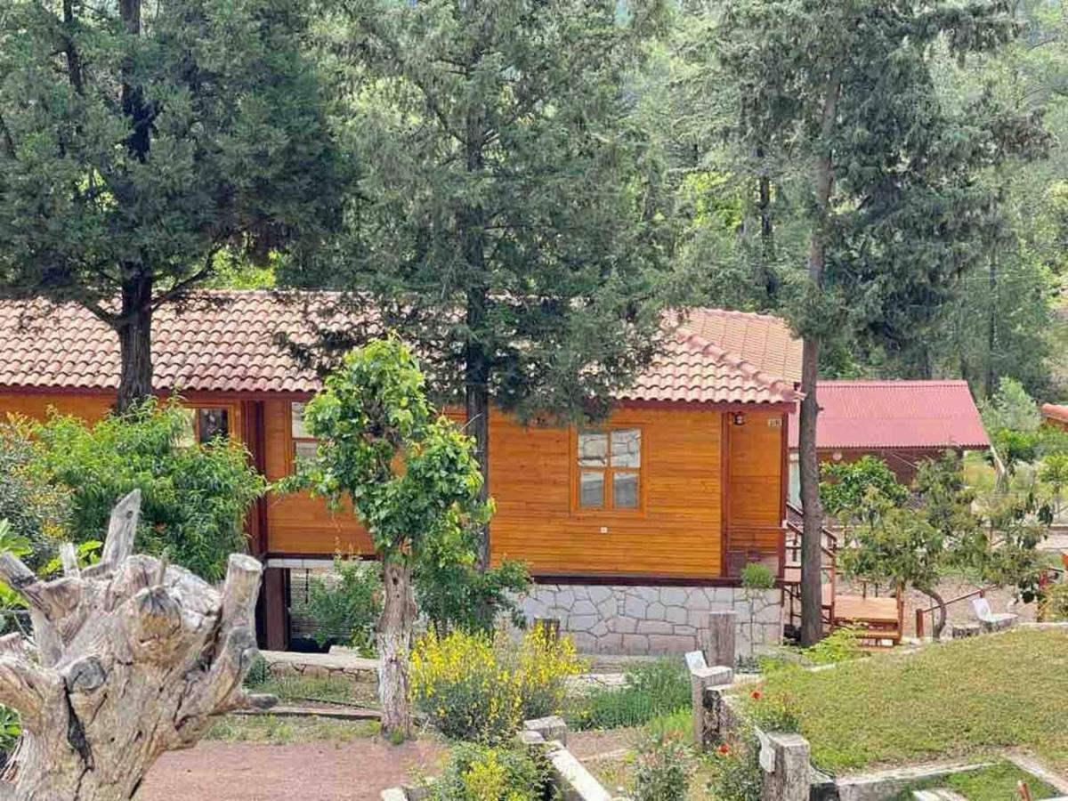 Trinitys Forest Bungalows Kemer Exteriér fotografie