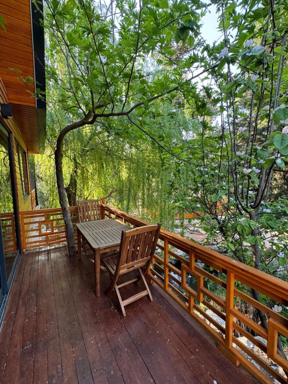 Trinitys Forest Bungalows Kemer Exteriér fotografie