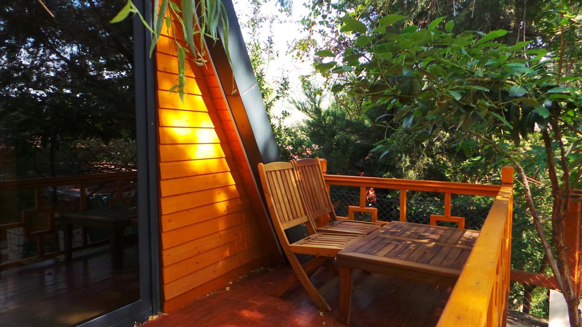 Trinitys Forest Bungalows Kemer Exteriér fotografie