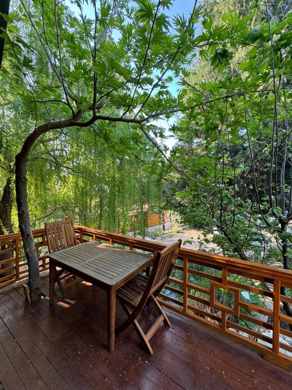 Trinitys Forest Bungalows Kemer Exteriér fotografie